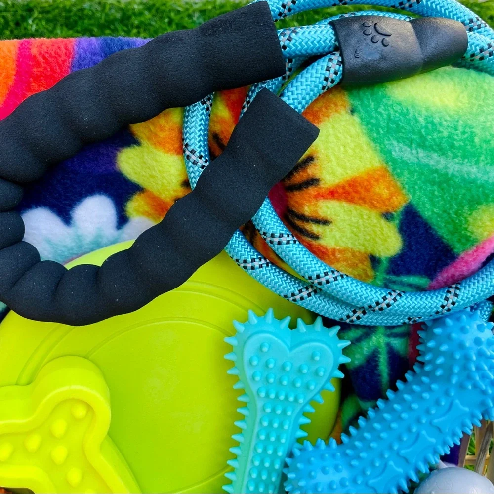 NWT 🐾💓🧺Pet Dog Gift Basket 🧺 💓🐾Fur-Baby Chew Toys 🦴 Leash & Blanket